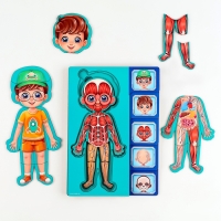 Обучающий набор &laquo;Тело человека&raquo;, рамка-вкладка и книга с наклейками