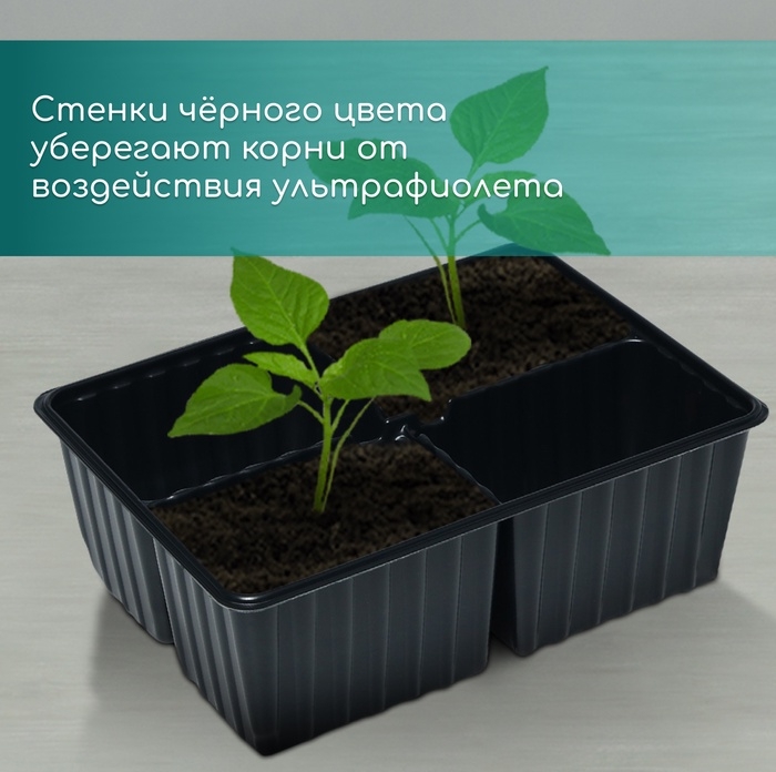 Кассета для рассады, на 4 ячейки, по 180 мл, пластиковая, чёрная, 18 &times; 13 &times; 6 см, в наборе 10 кассет, Greengo