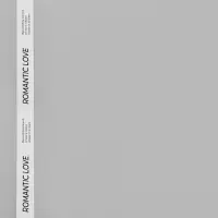 Пленка для цветов матовая, &laquo;Полоса с надписью&raquo;, 58&times;58 см