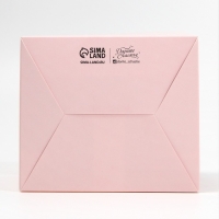 Коробки для мини букетов «LADY BOSS», 12 × 20 × 10 см Коробки для мини букетов «LADY BOSS», 12 × 20 × 10 см