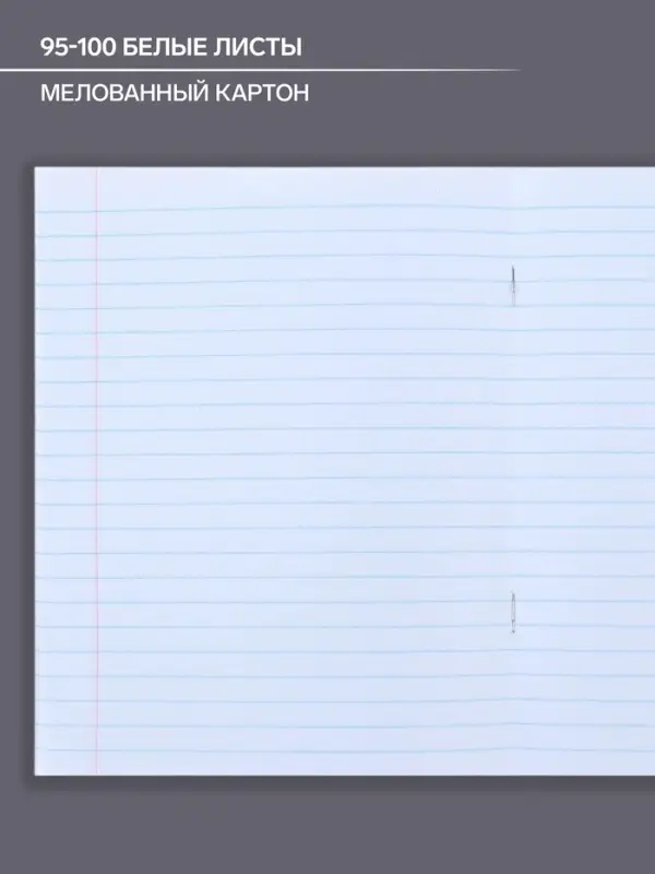 Тетрадь предметная 48 листов в клетку Calligrata, &laquo;Коллаж. Русский язык&raquo;, обложка мелованный картон