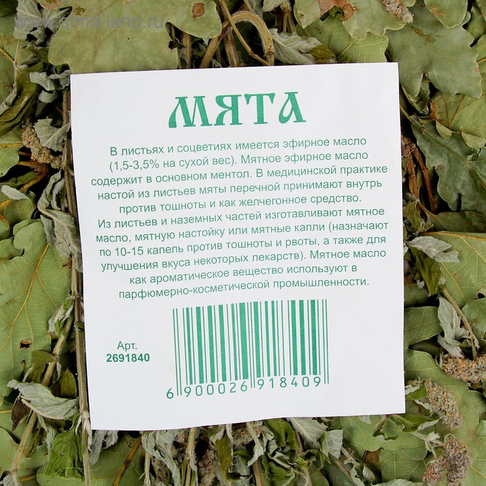 Веник для бани дубовый, 55 см с мятой