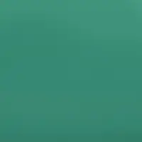 Пленка двухсторонняя для цветов и декора, 0.57&times;0.57 см, зелёный