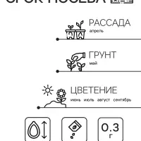 Семена  цветов Цинния "Георгиновидная", смесь окрасок, О, 0,3 г