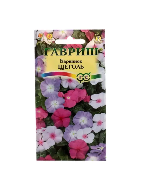 Набор семян комнатных Барвинок "Щеголь",  5 шт.