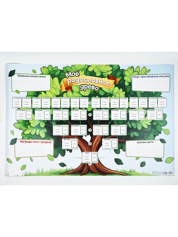 Генеалогическое древо "Мое родословное древо" 90,6х59,6см