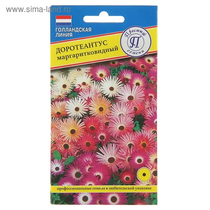 Семена цветов Доротеантус маргаритковый Смесь, О, 0,1 г