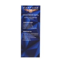 Неоновая нить Cartage для подсветки салона, адаптер питания 12 В, 2 м, красный Неоновая нить Cartage для подсветки салона, адаптер питания 12 В, 2 м, красный