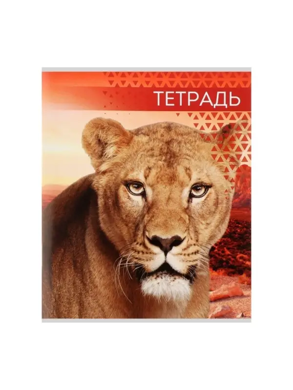 Тетрадь 48 листов в клетку, Calligrata &laquo;Дикие кошки&raquo;, обложка мелованная бумага, МИКС
