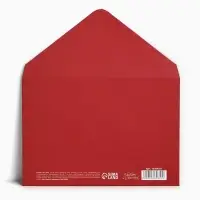 Подарочный конверт &laquo;С Новым годом&raquo;, снегирь, 16&times;11 см