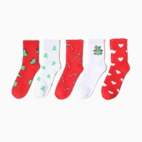 Набор новогодний женских носков KAFTAN "Праздник к нам приходит" размер 36-39 (23-25 см), 5 пар