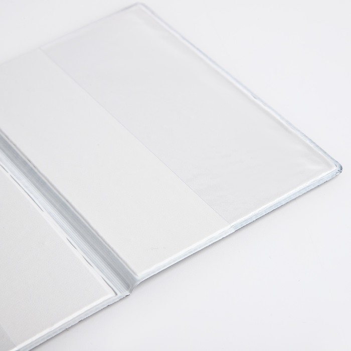 Обложка для паспорта, цвет зелёный Обложка для паспорта, цвет зелёный