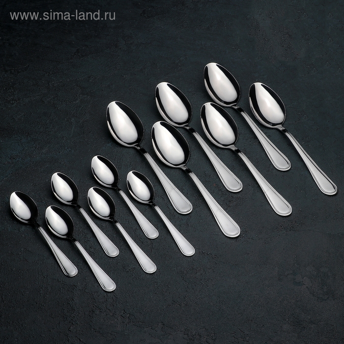 Набор столовых приборов &laquo; Рапсодия&raquo;, 18 предметов, картонная коробка, цвет серебряный