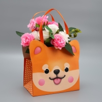 Переноски для цветов «Дружок», 20 × 12 × 12 см Переноски для цветов «Дружок», 20 × 12 × 12 см