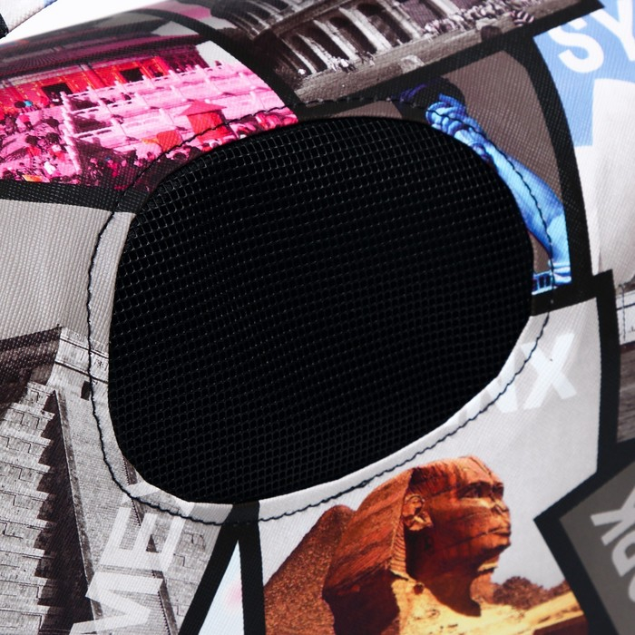 Сумка - переноска для животных Сумка - переноска для животных "Путешественник", размер M, 40 х 21 х 27 см