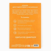 Планинг для подготовки к экзаменам, А5 60 л. Мягкая обложка &laquo;Кот&raquo;