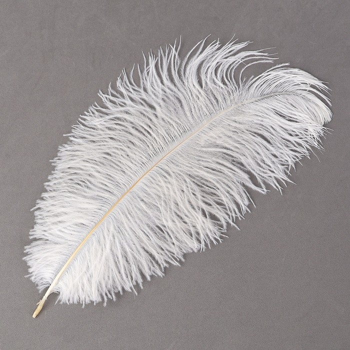Перо для декора, размер: 30-35 см, цвет белый Перо для декора, размер: 30-35 см, цвет белый