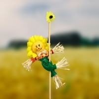 Огородное пугало &laquo;Солнце&raquo;, h = 50 см, МИКС, Greengo