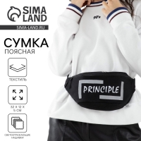 Сумка поясная, текстильная PRINCIPE, 35 х 12 х 5 см, светоотр. нашивки, отд на молнии, чёрная Сумка поясная, текстильная PRINCIPE, 35 х 12 х 5 см, светоотр. нашивки, отд на молнии, чёрная