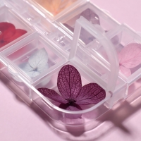 Сухоцветы для декора ногтей &laquo;Нежность&raquo;, объёмные, 12 видов, в футляре, разноцветные