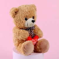 Мягкая игрушка «Ты лучше всех», медведь, цвета МИКС Мягкая игрушка «Ты лучше всех», медведь, цвета МИКС