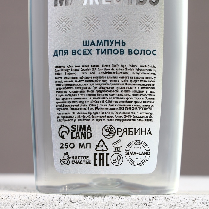 Подарочный набор косметики новогодний &laquo;Твои возможности безграничны&raquo;, гель для душа и шампунь для волос , 2 х 250 мл, Новый Год