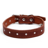 Ошейник кожаный "Строгий шип", 70 х 3,5 см, ОШ 45-60 см, коричневый Ошейник кожаный "Строгий шип", 70 х 3,5 см, ОШ 45-60 см, коричневый