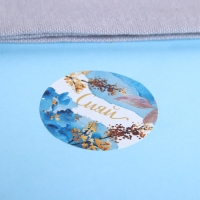 Наклейки для цветов и подарков &laquo;Мечтай, твори, сияй&raquo;, 4,4 х 4,4 см, 252 шт.