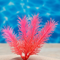 Растение искусственное аквариумное, светящееся, 10 см, красное Растение искусственное аквариумное, светящееся, 10 см, красное