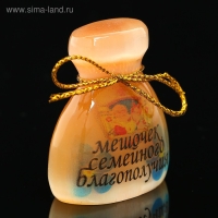 Сувенир &laquo;Мешочек семейного благополучия&raquo;, большой, селенит