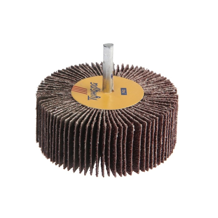 Круг лепестковый радиальный ТУНДРА, 80&times;30&times;6 мм, Р40