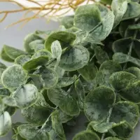 Цветы искусственные &laquo;Эвкалипт цинерия галант&raquo;, h=51 см, зелёные