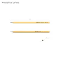 Карандаш чернографитный ErichKrause Amber 100, НВ, грифель d=2,2 мм, дерево, шестигранный, в тубусе