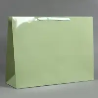 Пакет ламинированный горизонтальный "Хаки", XXL  61 х 46 х 20 см