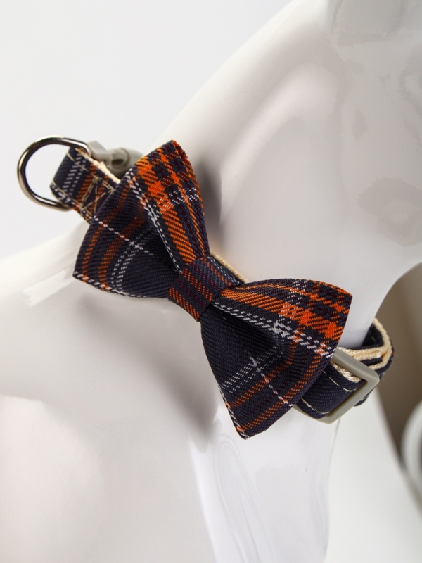 Ошейник Ошейник "Джентельмен в клеточку", 40 х 1,5 см, коричневый