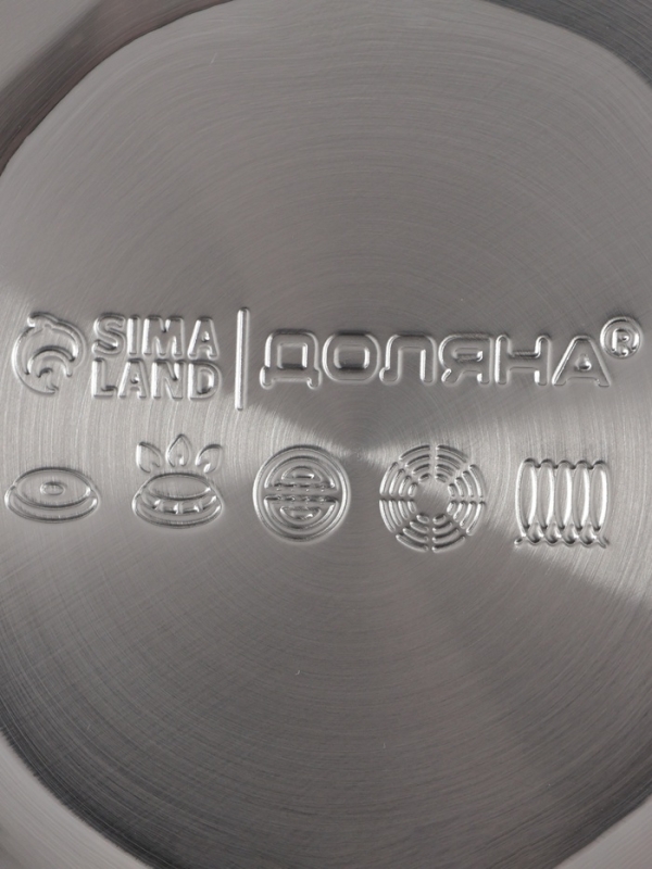 Чайник со свистком из нержавеющей стали Доляна Magic forest, 3 л, с индикатором нагрева, индукция