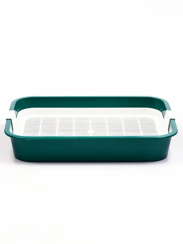 Туалет "Белла мини" для кошек, с сеткой, 35 х 26  х 6 см, Зеленый