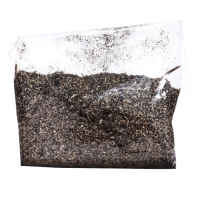 Хоста "Fragrant Bouquet", р-р I, размер ML,1 шт, Весна 2025, ЭКОНОМ,