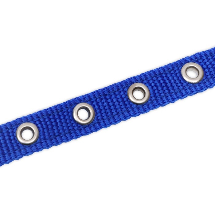 Ошейник "Комфорт" комбинированный (полиэстер, искусственная кожа), 39 х 1,5 см, ОШ 26-33 см, синий 6