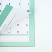 Календарь 2025 настенный, планинг «Новый год: Счастья», 29 х 21 см Календарь 2025 настенный, планинг «Новый год: Счастья», 29 х 21 см