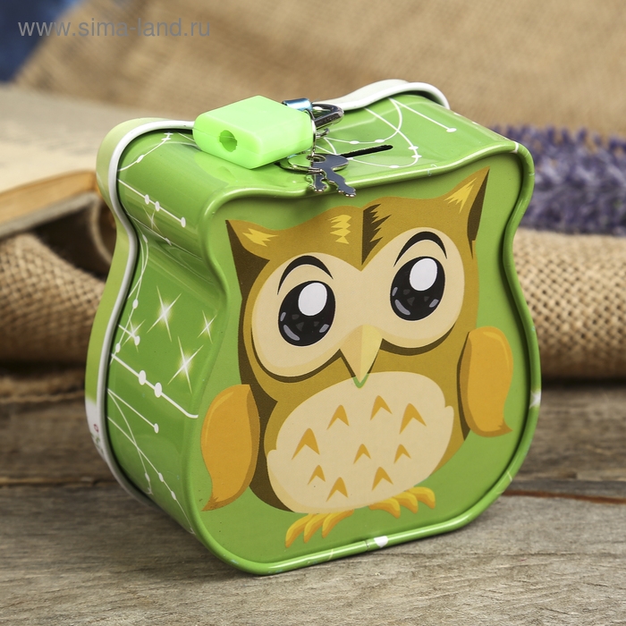 Копилка для денег с замком и ключом &laquo;Маленький совёныш&raquo;, метал, 8.5&times;9&times;4.5 см, МИКС