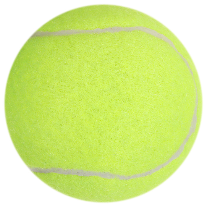 Набор мячей для большого тенниса &laquo;Тренер&raquo;, 3 шт.