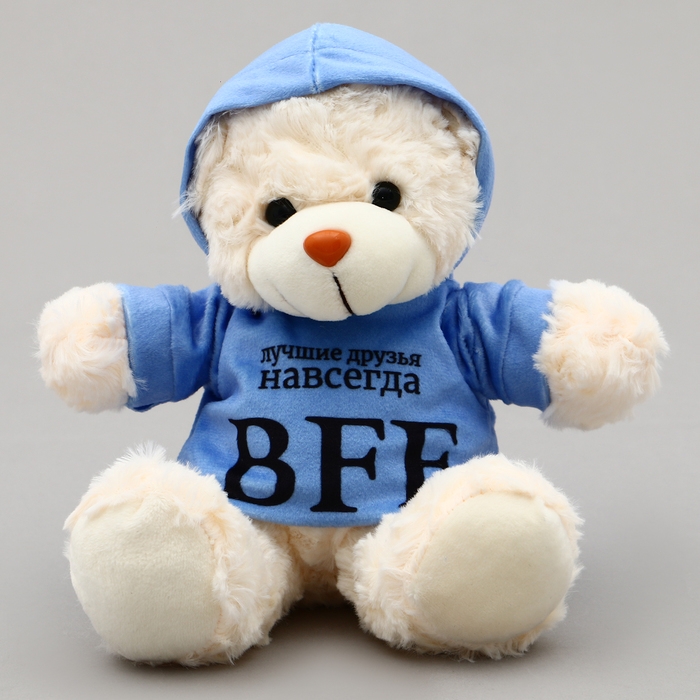 Мягкая игрушка Мишка &laquo;BFF&raquo;, в кофте, 13 см