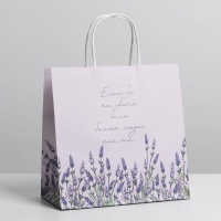 Пакет подарочный, упаковка, &laquo;Если бы&raquo;, 22 х 22 х 11 см