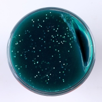 Слайм «Космос», светящийся, с блёстками, капсула 130 гр., ассорти Слайм «Космос», светящийся, с блёстками, капсула 130 гр., ассорти