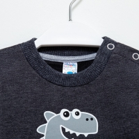 Свитшот детский, цвет тёмно-серый, рост 68 см