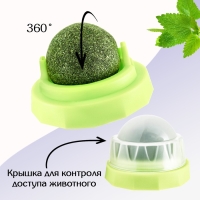 Игрушка для кошек из кошачьей мяты "Вращающийся шарик" на основании, 5 х 4 см, зелёная