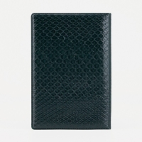 Обложка для паспорта, цвет зелёный