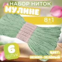 Набор ниток мулине №966, 8 &plusmn; 1 м, 6 шт, цвет нежно-зелёный
