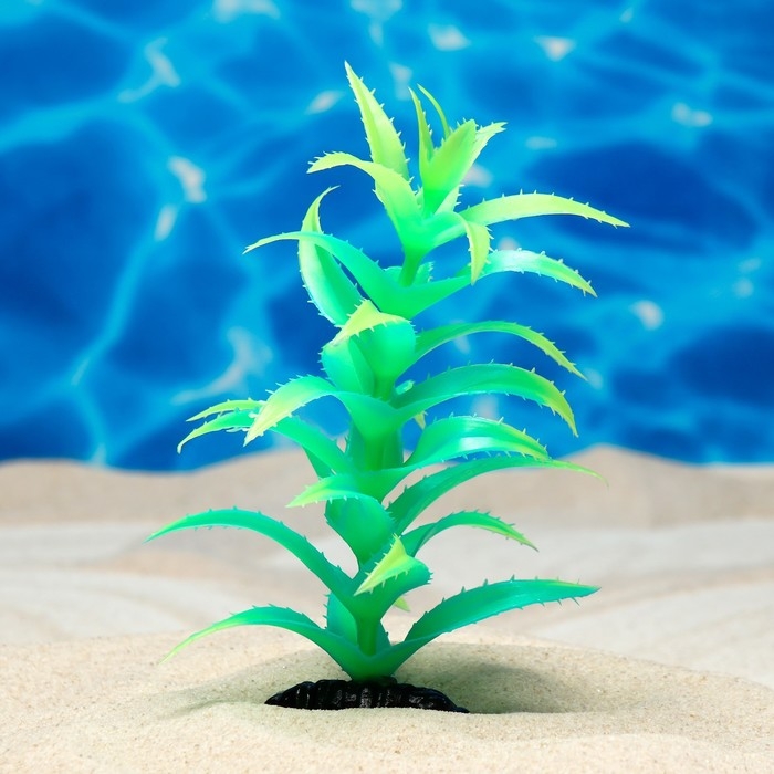 Растение искусственное аквариумное, светящееся, 20 см, зелёное Растение искусственное аквариумное, светящееся, 20 см, зелёное